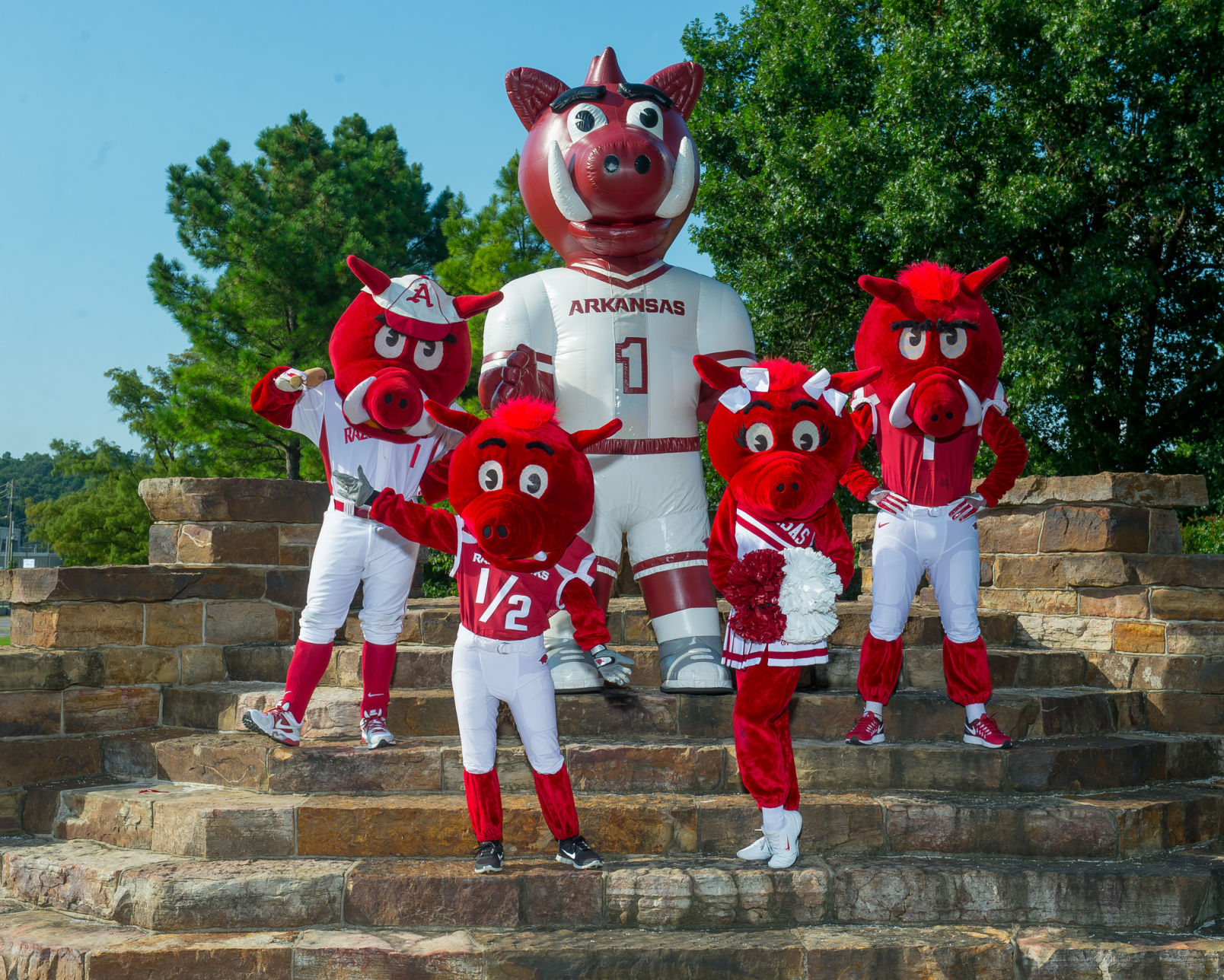 Univ. Of Ark Razorbacks